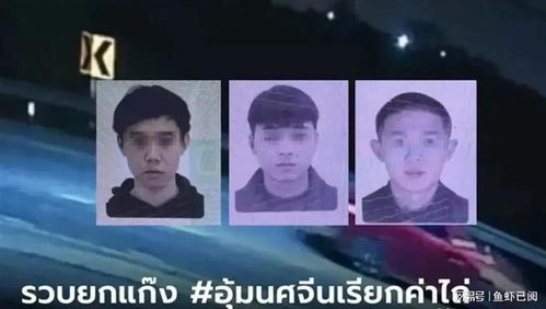 王大陆涉嫌教唆伤人案三名嫌疑人落网