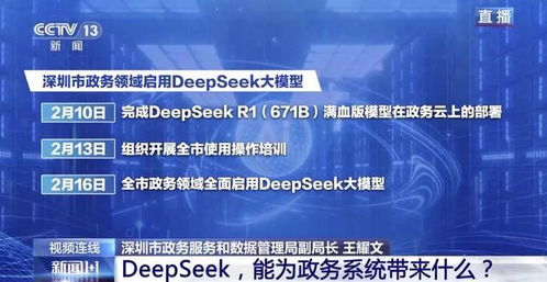 DeepSeek公司的价值评估与前景展望
