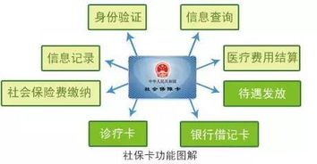 补交保险的具体流程