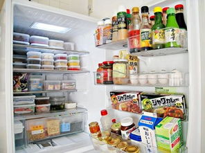 汽车冰箱，选择合适的温度以保持食物新鲜与健康