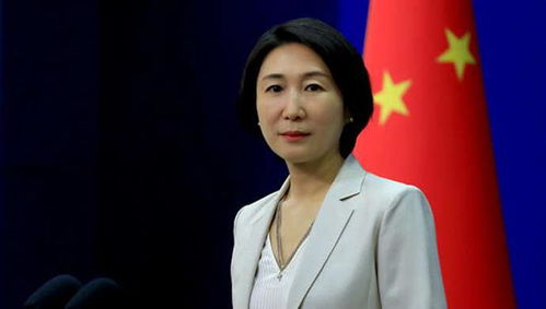 毛宁首次主持两会外长会，展现中国外交新气象