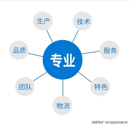 品牌与市场定位