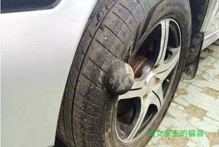 汽车后轮胎充气费用解析