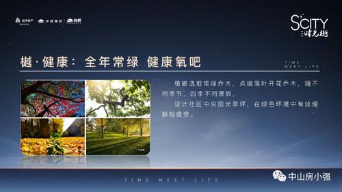 解析