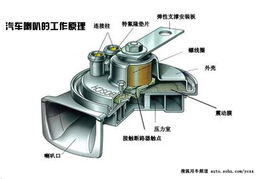 解析汽车喇叭尺寸与功能