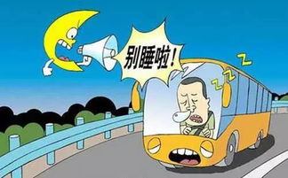 如何合理安排开车时间以避免疲劳驾驶