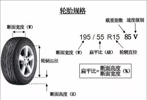 汽车轮胎转弯圈数与性能的关系分析