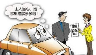 了解汽车强制保险中的第三者责任险条款 了解汽车强制保险中的第三者责任险条款
