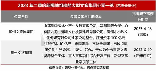 2023年年终总结与汽车保险返点分析