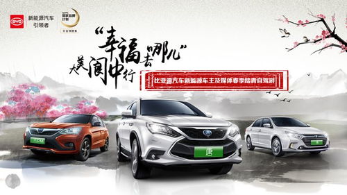 绵阳至开封镇的汽车费用详解