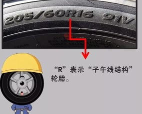 对于轿车而言，常见的后轮胎数量包括