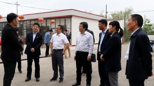 焦作到洛阳的汽车旅行指南