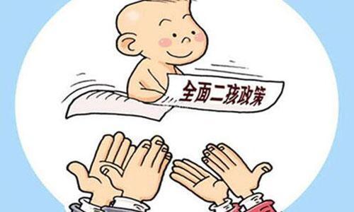 石家庄的汽车摇号政策及其价格变动