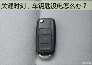 文峰区汽车遥控器的价格与选择指南