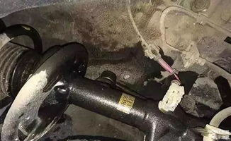 日产汽车更换前减震器的价格