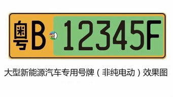 新能源汽车牌照费用详解