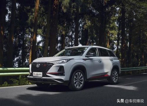 汽车过户费用解析与指导