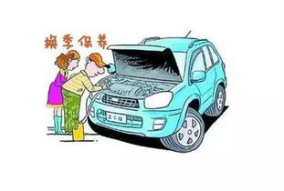 如何保持汽车的日常维护和清洁？