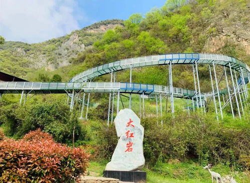 江山到峡口的车程与票价分析