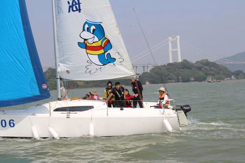 乘风破浪，邂逅美好