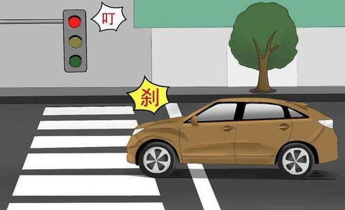 单县到黄岗镇的汽车票价及交通指南
