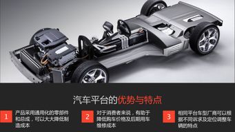 正常小汽车的长度是多少？