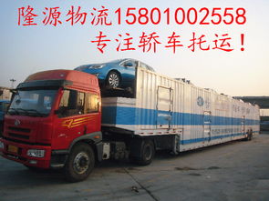 宠物汽车托运在昆明的费用详解
