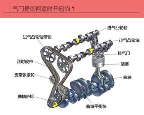 汽车曲轴实验员工资解析