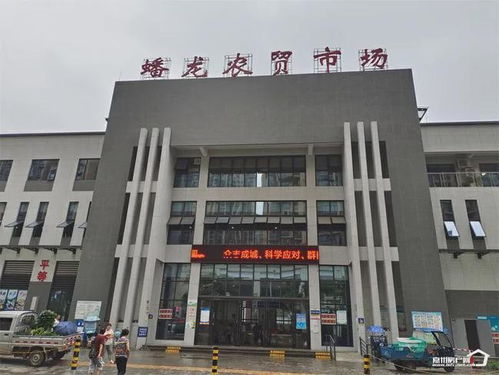 麻城市现有多少家汽车站? 麻城市现有多少家汽车站?