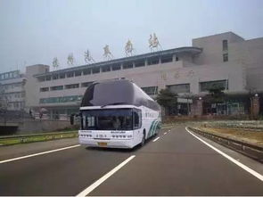 河台汽车站的详细信息与联系方式