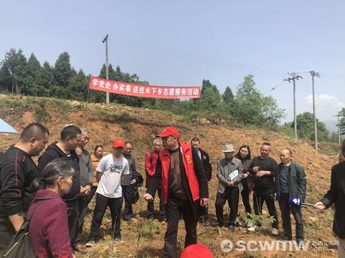 了解什么是事故车，价值评估与处理方式