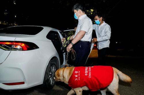中国汽车生死线上游人如织