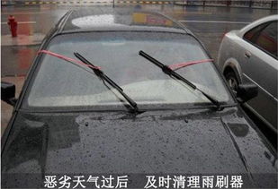 樟树汽车雨刷的价格与选择指南