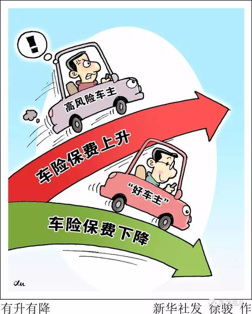 去年的汽车保险费用是多少？