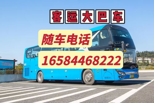鲁山到洛阳汽车票价指南