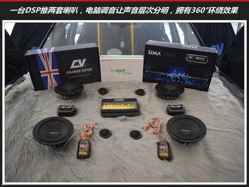 牛人自制汽车音箱的性价比与购买指南