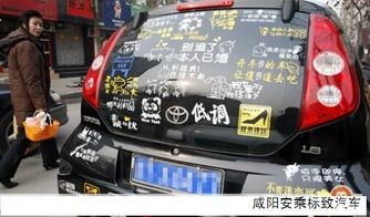 汽车电子车贴的品牌价格解析