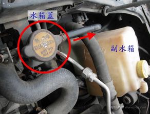 修复汽车水箱接头的费用是多少？