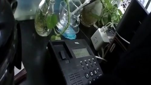 平顶山汽车客服电话查询指南
