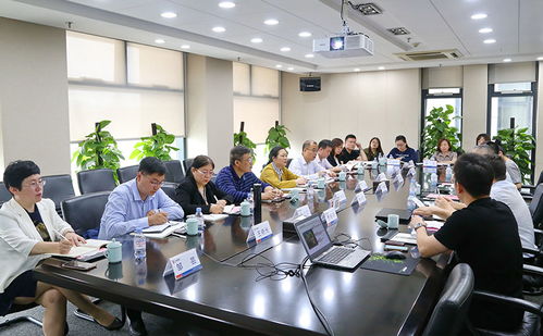 龙城高档汽车靠枕的市场调查与价格分析
