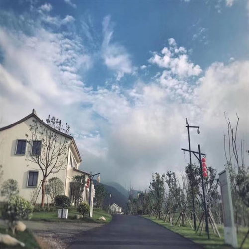 俄罗斯给汽车加油的费用分析