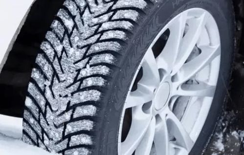 轮胎的适应性与路面类型