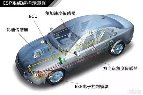 汽车后轮到尾箱长度的正确测量与理解
