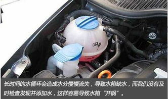 如何查看汽车防冻液的温度 如何查看汽车防冻液的温度