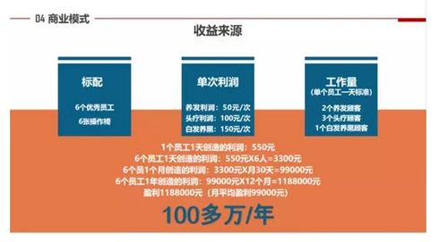 百顺汽车加盟费用详解，投资与回报分析