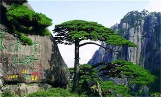 缙云至黄山的汽车行程详解