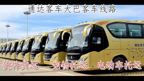 济宁至泗水汽车票价及乘车指南