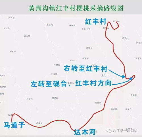 陇南到文县的汽车费用概览与交通方式详解