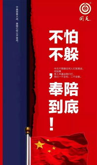 中国的奉陪到底有强大底气