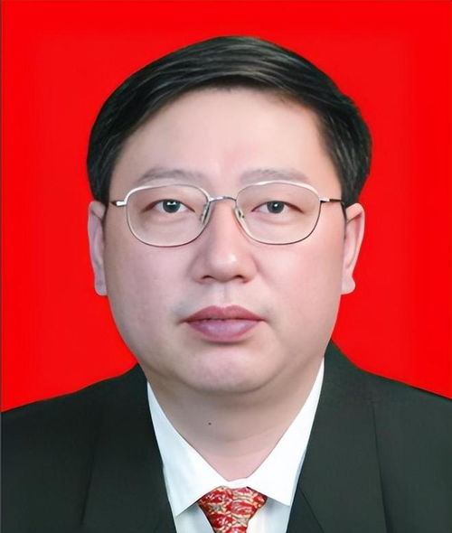 副部级官员宋朝华被查，反腐风暴中的最新进展